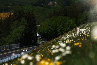 #98 - Rowe Racing - Augusto FARFUS - Raffaele MARCIELLO - Jesse KROHN - BMW M4 GT3 EVO | SRO / JEP