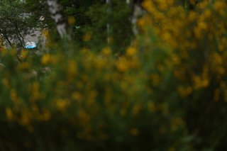 #8 - Kessel Racing - Nicol&ograve; ROSI - Niccol&ograve; SCHIRO' - David FUMANELLI - Daniele DI AMATO - Ferrari 296 GT3
 | JEP / SRO 